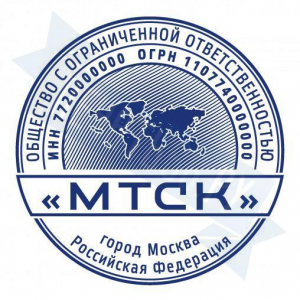 Макет печати для ООО с индивидуальным дизайном №2